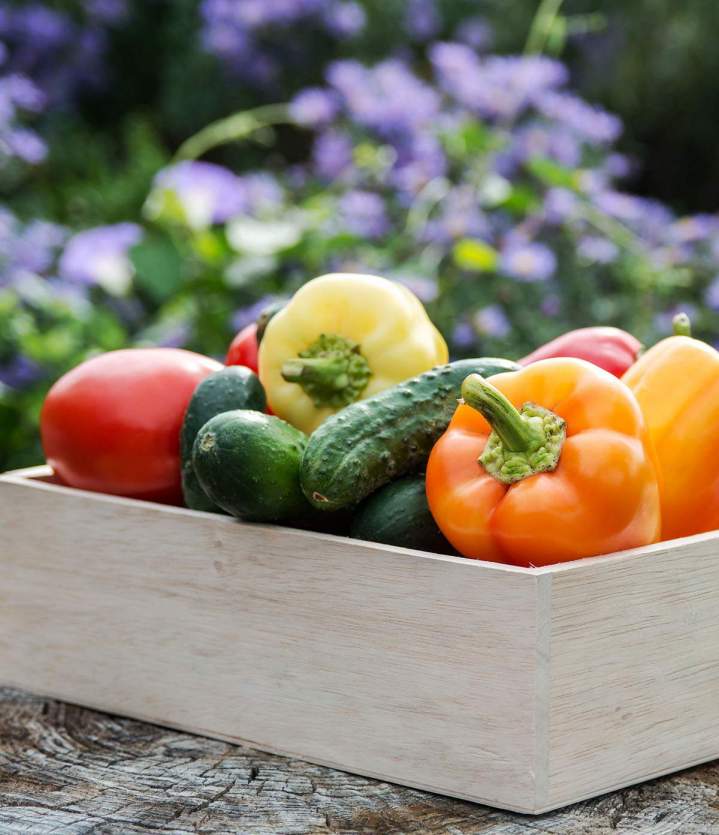 Spécialiste en micronutrition Herblay-sur-Seine